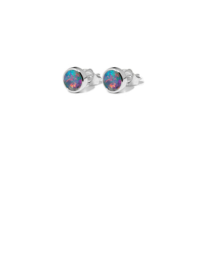 Earrings in silver