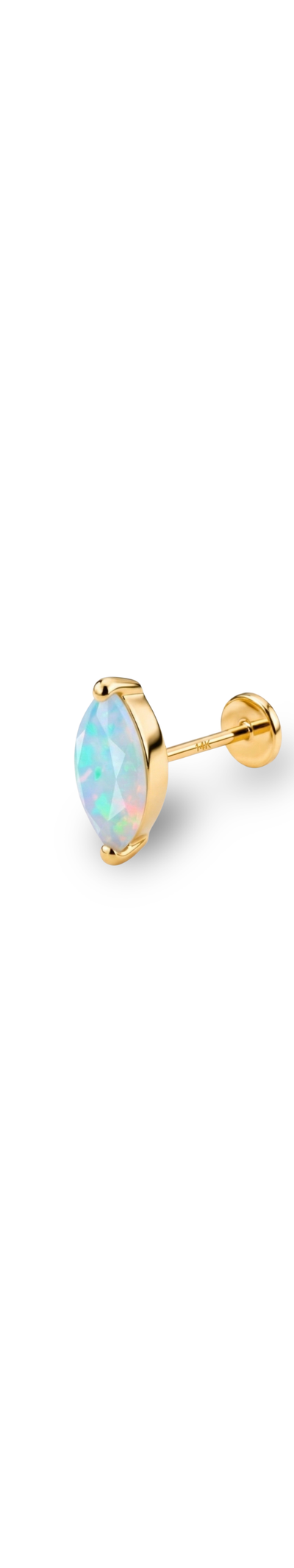Piercings in Gold